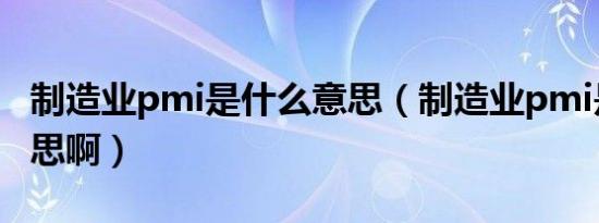 制造业pmi是什么意思（制造业pmi是什么意思啊）