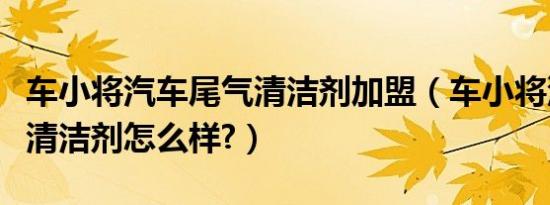 车小将汽车尾气清洁剂加盟（车小将汽车尾气清洁剂怎么样?）