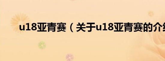 u18亚青赛（关于u18亚青赛的介绍）