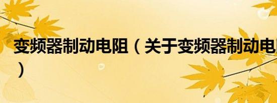 变频器制动电阻（关于变频器制动电阻的介绍）