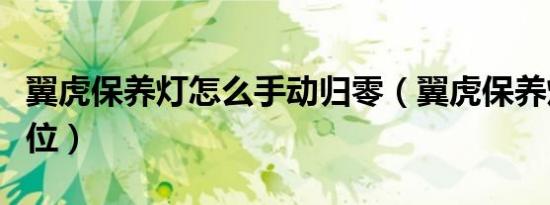 翼虎保养灯怎么手动归零（翼虎保养灯怎么复位）