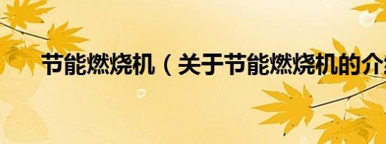 节能燃烧机（关于节能燃烧机的介绍）