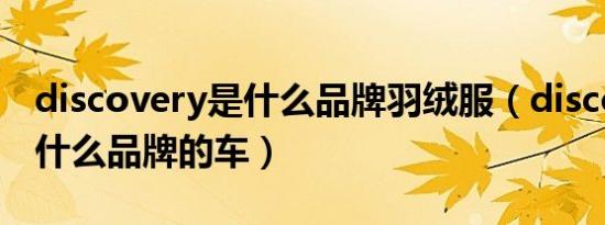 discovery是什么品牌羽绒服（discovery是什么品牌的车）