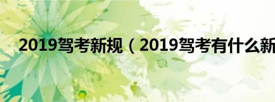 2019驾考新规（2019驾考有什么新规?）