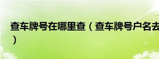 查车牌号在哪里查（查车牌号户名去哪里查?）