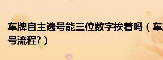 车牌自主选号能三位数字挨着吗（车牌自主选号流程?）