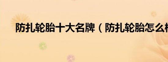 防扎轮胎十大名牌（防扎轮胎怎么样?）