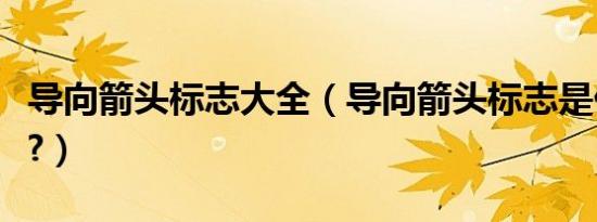 导向箭头标志大全（导向箭头标志是什么意思?）