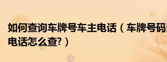 如何查询车牌号车主电话（车牌号码查询车主电话怎么查?）