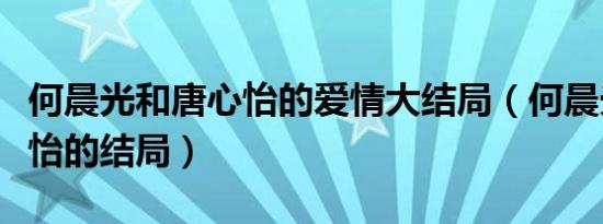 何晨光和唐心怡的爱情大结局（何晨光和唐心怡的结局）