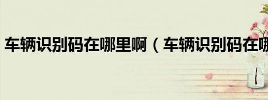 车辆识别码在哪里啊（车辆识别码在哪里看）