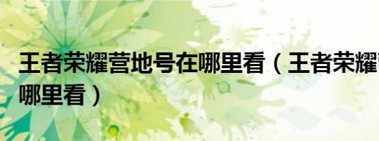 王者荣耀营地号在哪里看（王者荣耀营地id在哪里看）