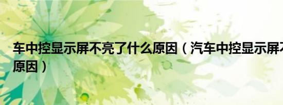 车中控显示屏不亮了什么原因（汽车中控显示屏不亮了什么原因）