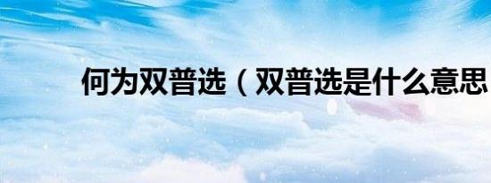 何为双普选（双普选是什么意思）