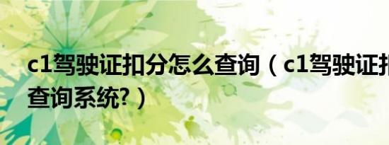 c1驾驶证扣分怎么查询（c1驾驶证扣分怎么查询系统?）