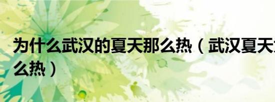 为什么武汉的夏天那么热（武汉夏天为什么这么热）
