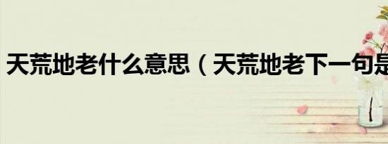 天荒地老什么意思（天荒地老下一句是什么）