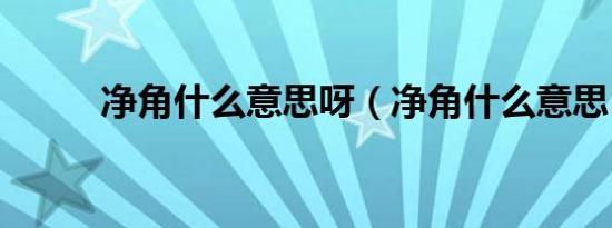 净角什么意思呀（净角什么意思）