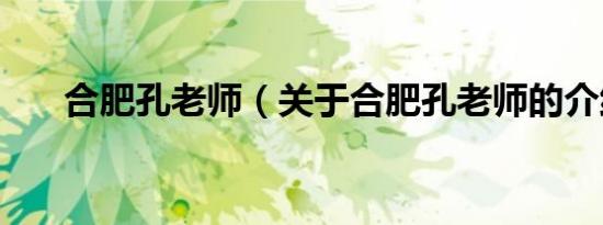 合肥孔老师（关于合肥孔老师的介绍）