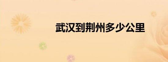 武汉到荆州多少公里