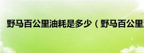 野马百公里油耗是多少（野马百公里油耗）