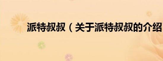 派特叔叔（关于派特叔叔的介绍）