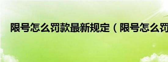 限号怎么罚款最新规定（限号怎么罚款?）