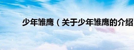 少年雏鹰（关于少年雏鹰的介绍）