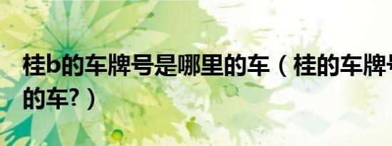 桂b的车牌号是哪里的车（桂的车牌号是哪里的车?）