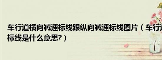 车行道横向减速标线跟纵向减速标线图片（车行道纵向减速标线是什么意思?）