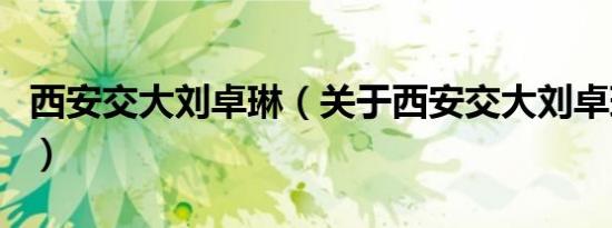 西安交大刘卓琳（关于西安交大刘卓琳的介绍）