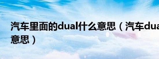 汽车里面的dual什么意思（汽车dual是什么意思）