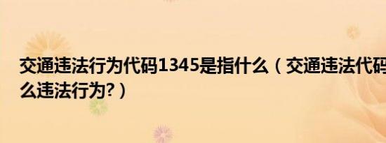 交通违法行为代码1345是指什么（交通违法代码1345是什么违法行为?）