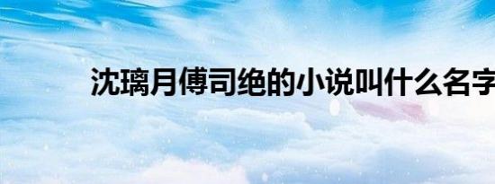 沈璃月傅司绝的小说叫什么名字