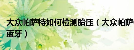 大众帕萨特如何检测胎压（大众帕萨特如何连蓝牙）