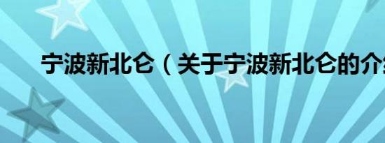 宁波新北仑（关于宁波新北仑的介绍）