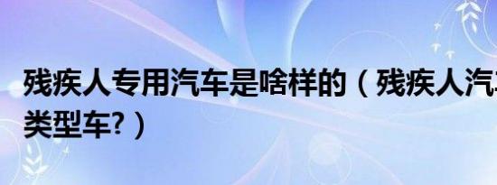 残疾人专用汽车是啥样的（残疾人汽车有哪些类型车?）