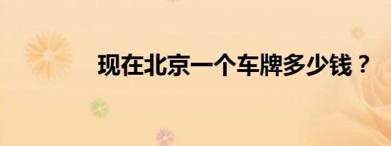 现在北京一个车牌多少钱？