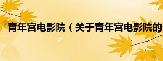 青年宫电影院（关于青年宫电影院的介绍）