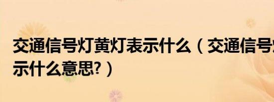 交通信号灯黄灯表示什么（交通信号灯黄灯表示什么意思?）