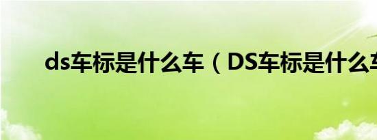 ds车标是什么车（DS车标是什么车）