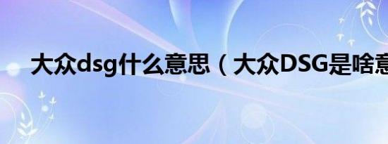 大众dsg什么意思（大众DSG是啥意思）