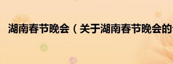 湖南春节晚会（关于湖南春节晚会的介绍）