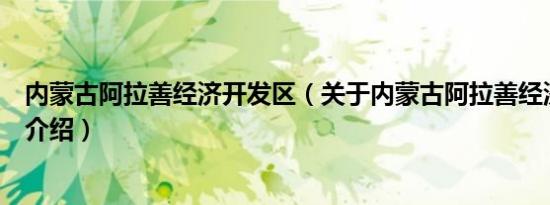 内蒙古阿拉善经济开发区（关于内蒙古阿拉善经济开发区的介绍）