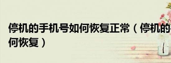 停机的手机号如何恢复正常（停机的手机号如何恢复）