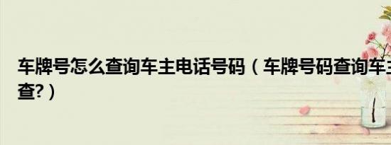 车牌号怎么查询车主电话号码（车牌号码查询车主电话怎么查?）
