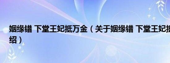 姻缘错 下堂王妃抵万金（关于姻缘错 下堂王妃抵万金的介绍）