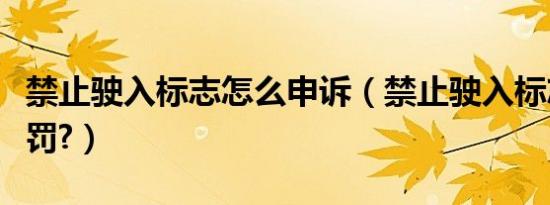 禁止驶入标志怎么申诉（禁止驶入标志怎么处罚?）