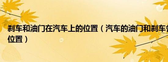 刹车和油门在汽车上的位置（汽车的油门和刹车各在哪一个位置）
