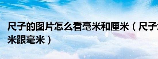 尺子的图片怎么看毫米和厘米（尺子怎么看厘米跟毫米）